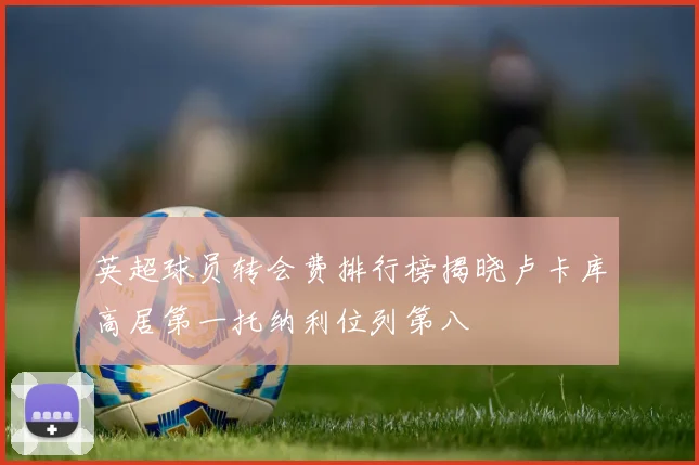 英超球员转会费排行榜揭晓卢卡库高居第一托纳利位列第八