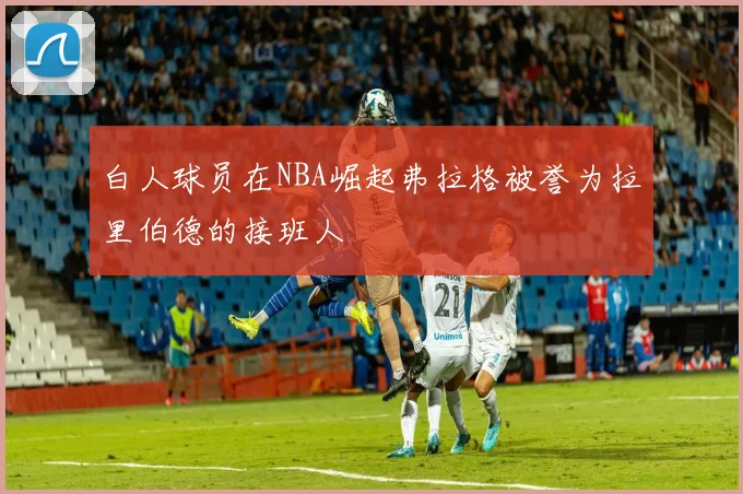 白人球员在NBA崛起弗拉格被誉为拉里伯德的接班人